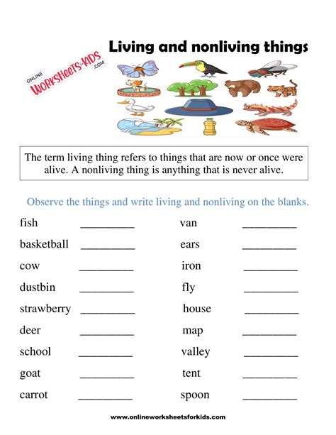 Living And Non Living Things Worksheets For Grade 3 Free Worksheets