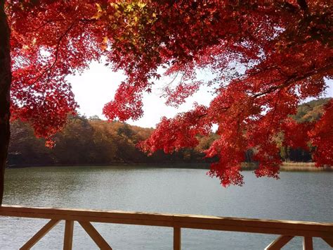 カライシ山・桑沢大山・大畠山・小高山・蛾ヶ岳・四尾連湖⛰🍁 とみーさんの蛾ヶ岳・大平山・釈迦ヶ岳の活動データ Yamap ヤマップ