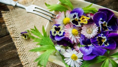 Fiori commestibili quali sono proprietà e uso in cucina