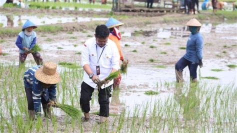 Didampingi Mentan Syl Presiden Jokowi Dorong Petani Lakukan Percepatan