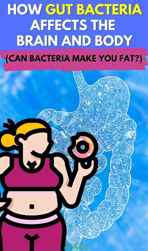 How Gut Bacteria Affects The Brain And The Body In Gut Bacteria