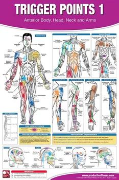 Trigger Point Therapy Poster/chart Set - Buy Trigger Point Therapy ...