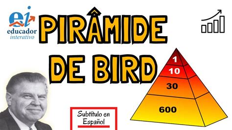 A Pirâmide De Bird