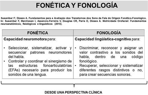 Fon Tica Y Fonologia Trastornos Del Lenguaje Fonologia Lectura Y