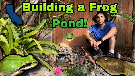 Building A Frog Pond Part 1 Youtube