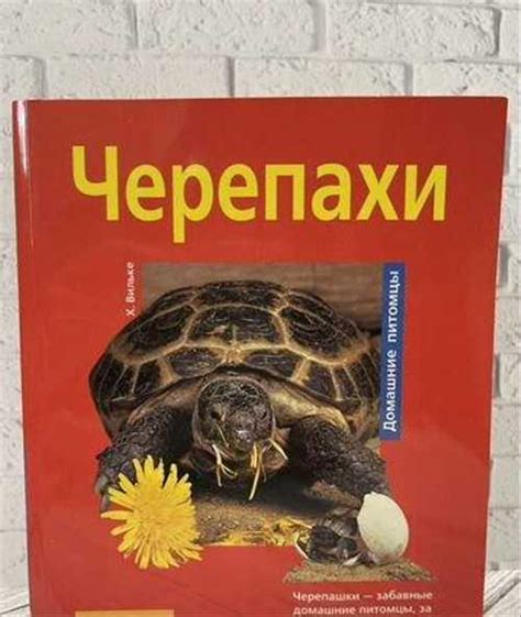 Книги про черепах | Festima.Ru - Мониторинг объявлений