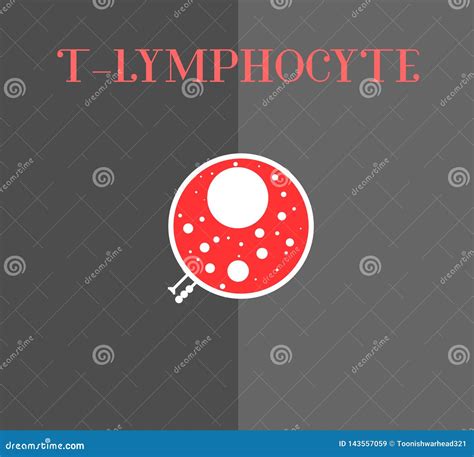 3d Illustration Of Lymphocyte Type Leukocyte Cell White Blood Cells