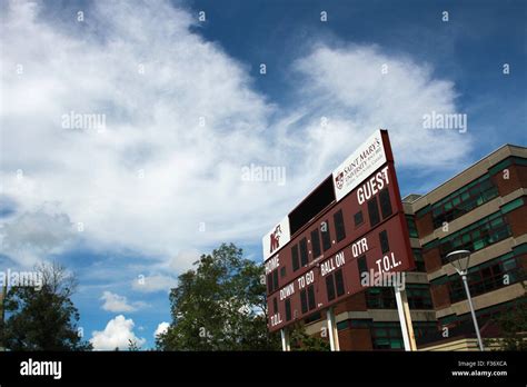 Stadio Di Huskie Immagini E Fotografie Stock Ad Alta Risoluzione Alamy