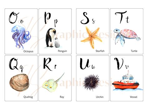 ABC Ocean Water Color Animals / Flashcards / Banner / Montessori Learning / Homeschool ...