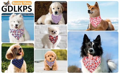 Dog Collars And Bandanas Soft Adjustable Fancy Floral