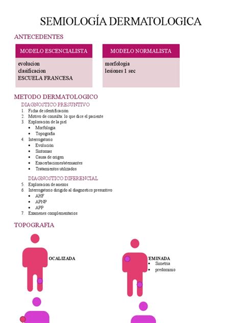 SemiologÍa Dermatologica Sl Pdf Piel Anatomía