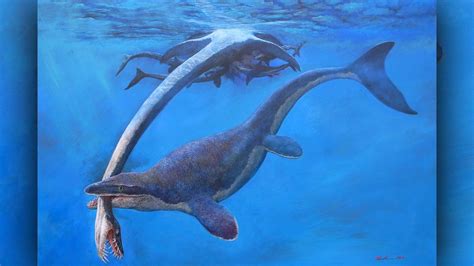 Prehistoric Sea Monsters Still Alive