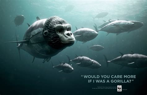 Imaginez La Campagne Publicitaire Du Wwf