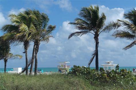 Viisi Syyt Matkustaa Ihanaan Miamiin Tuntematon Turisti Matkablogi