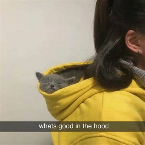 Whats Good In The Hood Rhoodcats