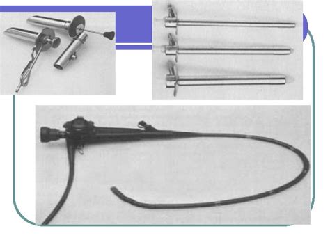 Patologia Anal L Anatomia Recto Anal L Diagnostico