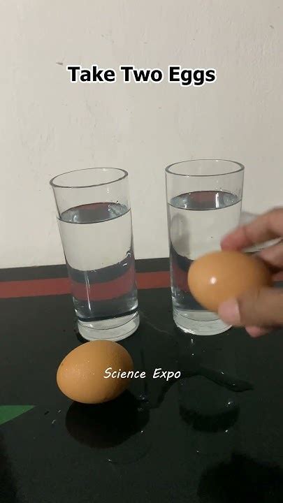 Floating Egg Experiment Why Eggs Float In Salt Water The Egg And Salt Experiment Youtube