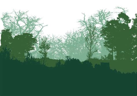 Panoramic Green Forest Landscape With Silhouettes Of Trees Stock Vector