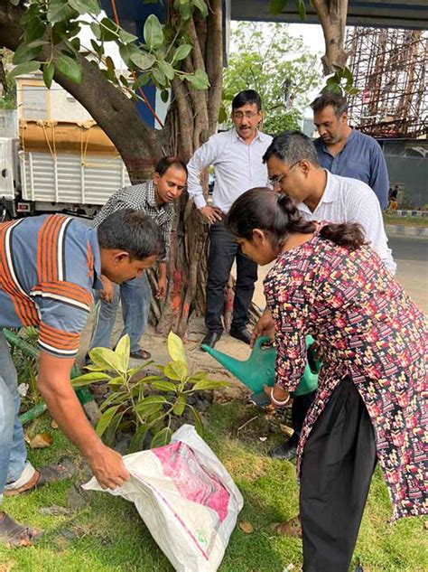 Tree Plantation Drive Ilead