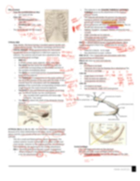 SOLUTION Anterior Thoracic Wall Studypool