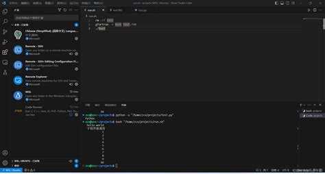 安装WSL安装VScode安装VScode插件在WSL上安装fortranpython并在VScode中使用WSL系统中的