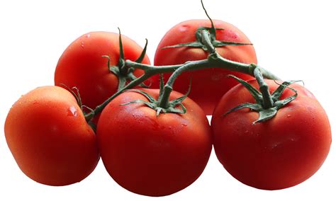 Tomatoes Clipart Animated Tomatoes Animated Transparent Free For