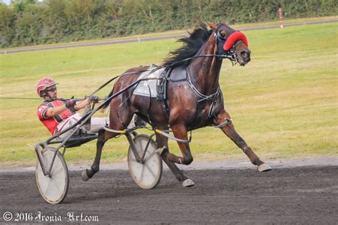The Irish Harness Racing Association