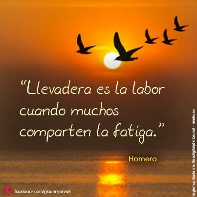 Llevadera Es La Labor Cuando Muchos Comparten La Fatiga Homero