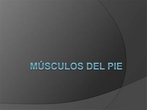 Musculos Del Pie PPT