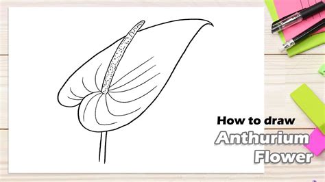 How To Draw Anthurium Flower YouTube