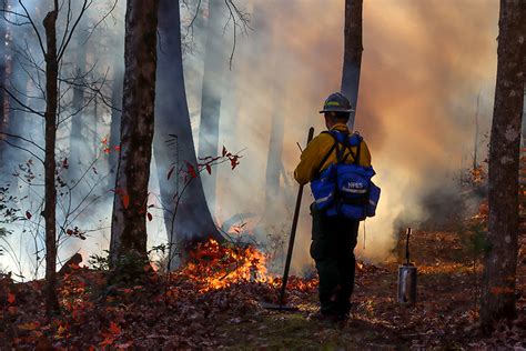 Wildland Firefighting Tactics Fire U S National Park Service