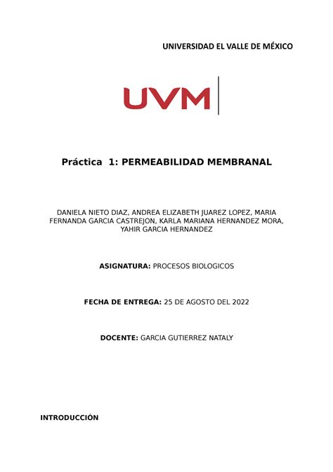 Reporte Pr Ctica Pb Practcia Universidad El Valle De M Xico