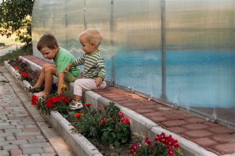 Small Children, a Boys, Sit on a Path Near a Club, Barefoot, Behind ...