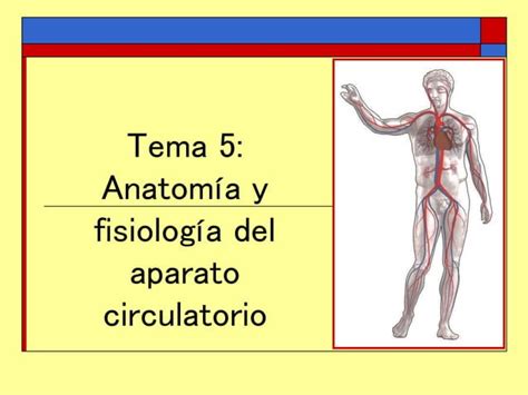 Aparato Circulatorio Ppt