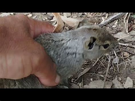 fui até a ilha do mocó resgatei mais um graças a Deus YouTube