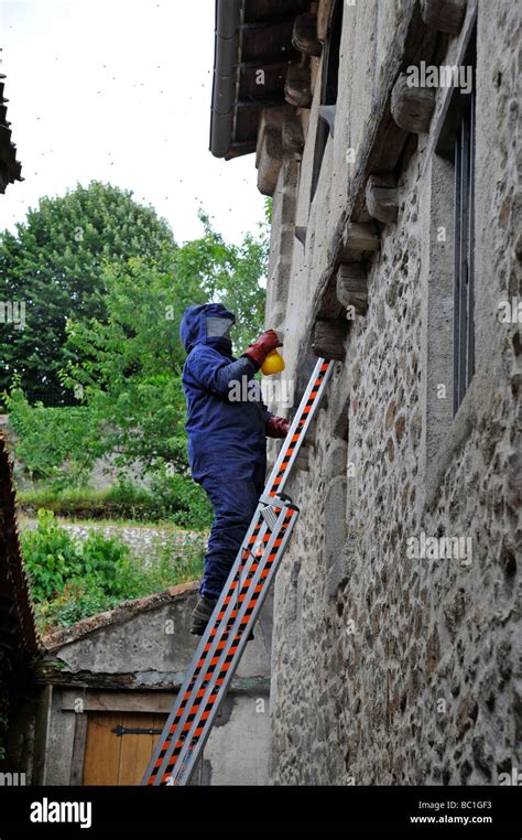 Pest Control Man Hi Res Stock Photography And Images Alamy