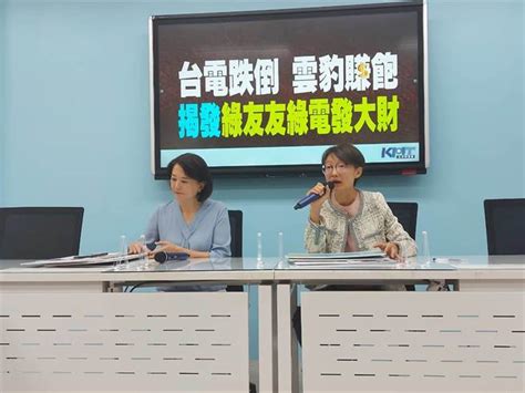 藍委批「綠友友」靠綠電賺大錢 揭得標公司與民進黨關係良好 政治 中時