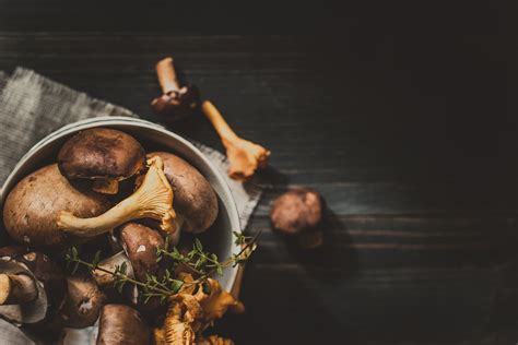 The Best Mushrooms to Eat for Your Health — Tsirona