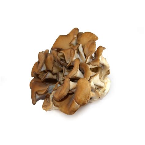 Maitake Mushrooms