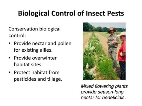 Ppt Organic Management Of Weeds Pests And Crop Diseases Powerpoint