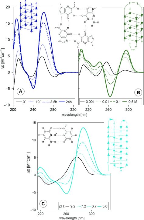 Cd Spectra Of Quadruplexes Upper Panels Cd Spectra Of Guanine