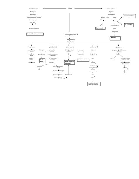 Patofisiologi Pathway Diabetes Mellitus Tipe 2 Pdf