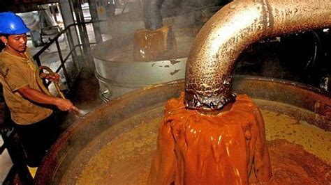 Berita Sawit Minyak Sawit Mulai Kehilangan Pangsa Pasar Di India