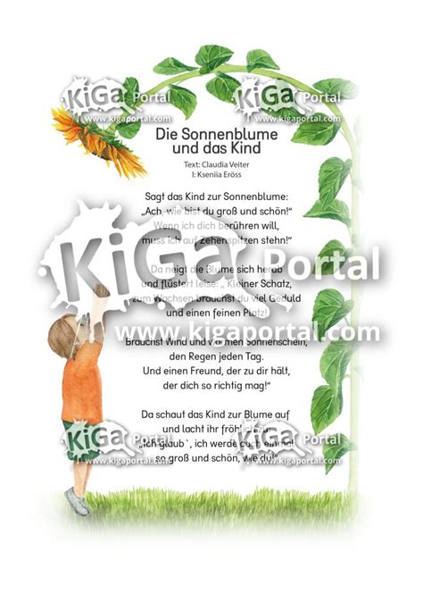 Kigaportal Preschool Scuola Dell Infanzia Kindergarten Sonnenblume Kind Gedicht Gedichte Für