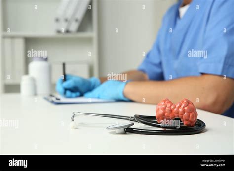 Endocrinologist Working In Hospital Focus On Thyroid Gland Model And