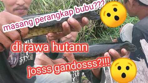 Lihat Prangkap Ikan Hasil Nya Gak Di Duga Youtube