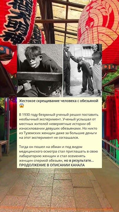A_Жестокое скрещивание человека с обезьяной- - YouTube