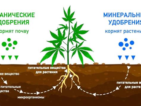 Перевести мл в литры | Онлайн калькулятор