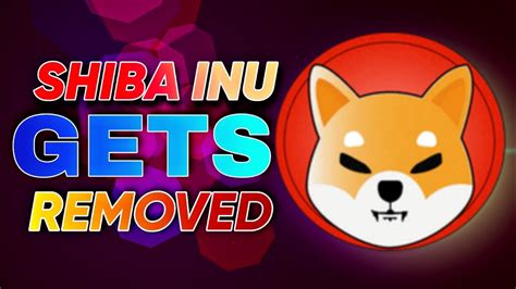 Shiba Inu Biggest Recovery Possible Epic Move Soon Youtube