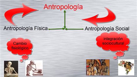 ¿que Es La Antropología ¿ Cual Es Su Objeto De Estudio ¿ Cuales Son